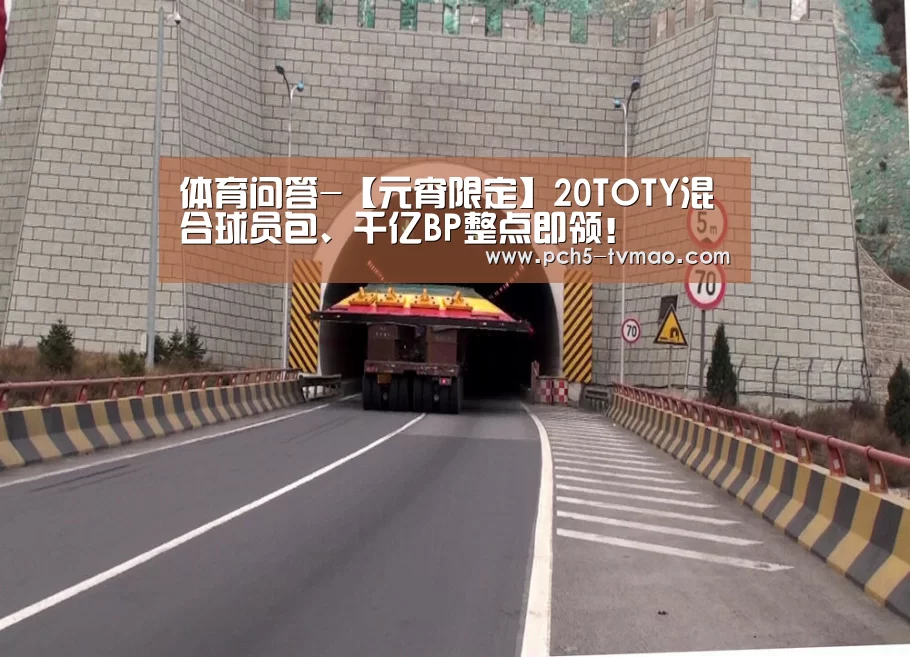 体育问答-【元宵限定】20TOTY混合球员包、千亿BP整点即领!(图2) 体育问答