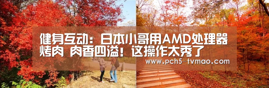体育赛事