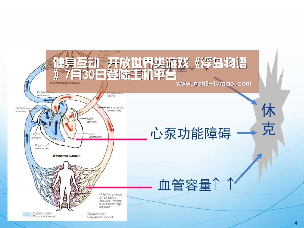 体育赛事