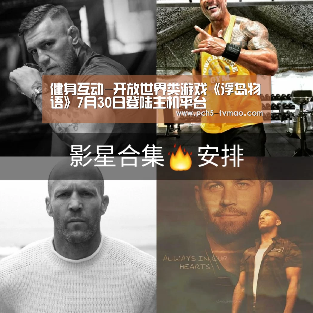运动平台