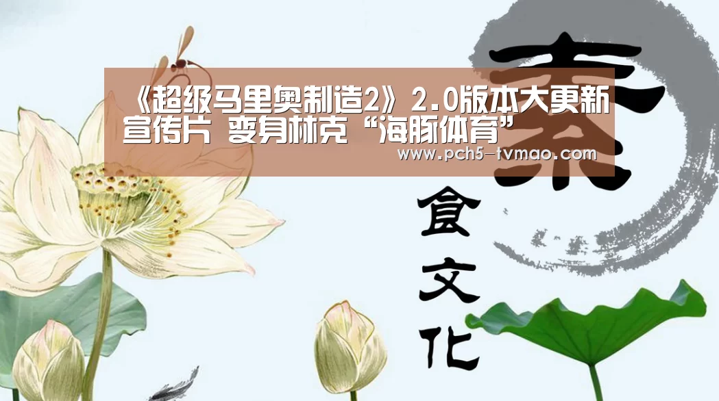 《超级马里奥制造2》2.0版本大更新宣传片 变身林克“海豚体育”(图1) 运动平台
